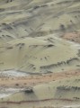 Der Maler war die Natur