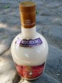 Nicht nur Tequilla wird aus der Algave gemacht, sondern auch Mescal. Wir haben einige durchprobiert und fanden: schmeckt einfach nur scheiße! Leckerer sind sogenannte Cremas: Mescalbasierte Creme-Drinks in verschiedenen Geschmacksrichtungen!